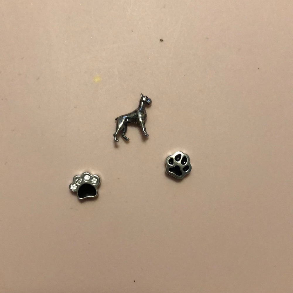 Origami Owl Charms